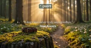 Best Loss of a Dog Quotes