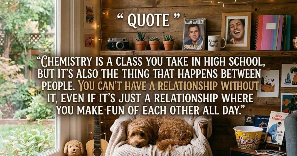 Adam Sandler Quotes