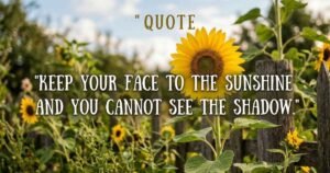 Sunflower Quotes
