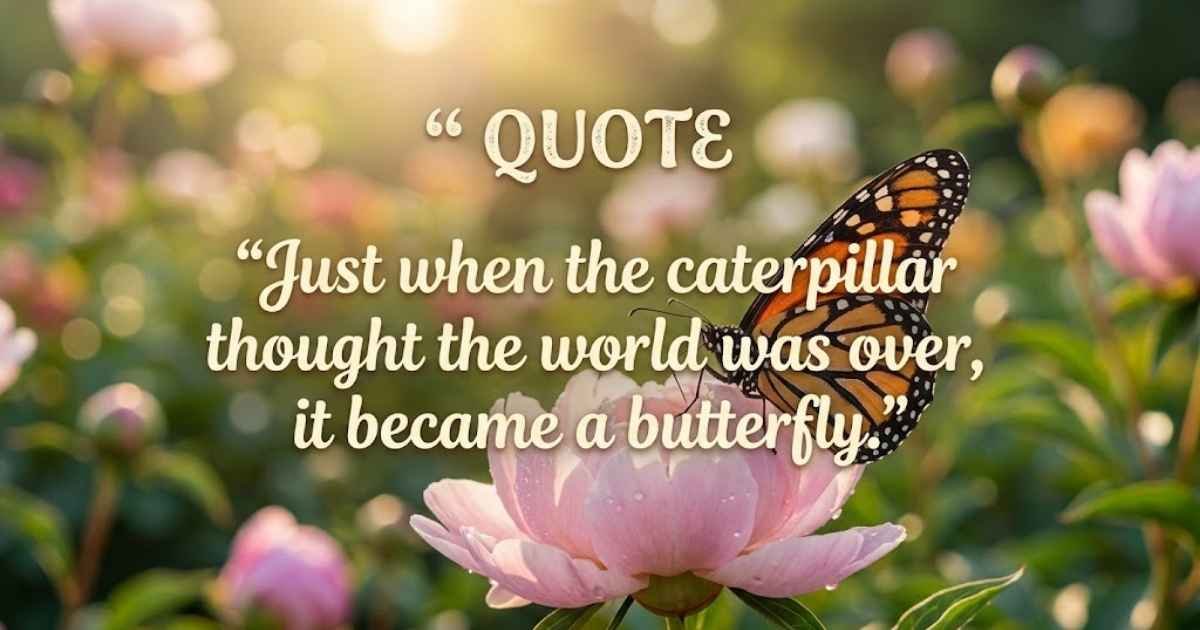 Butterfly Quotes
